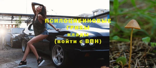 метадон Богородицк