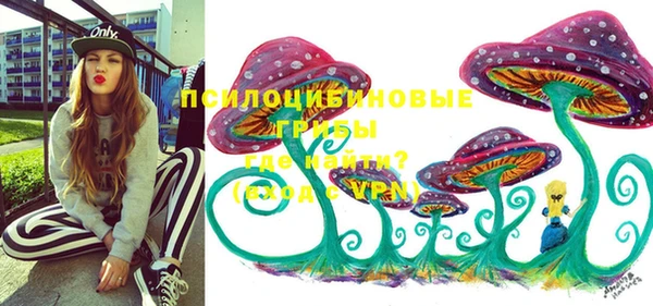 соль ск Бородино