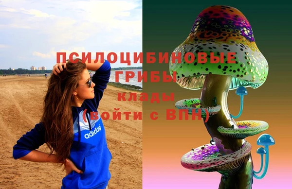 не бодяженный Богданович