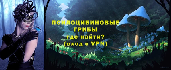 скорость Богородск