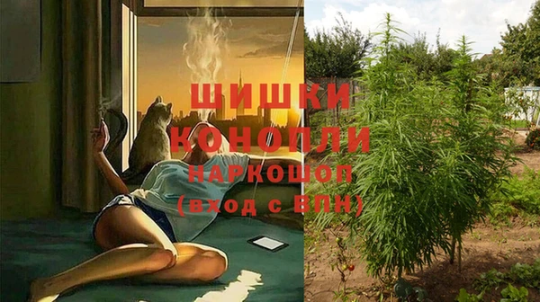 не бодяженный Богданович