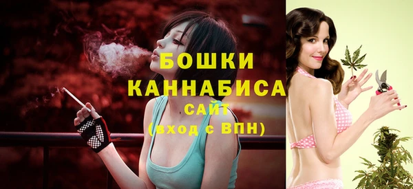 скорость Богородск